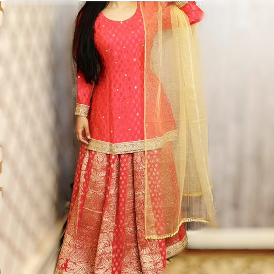 Soft silk banarasi lehenga - Selina Habibti Attire